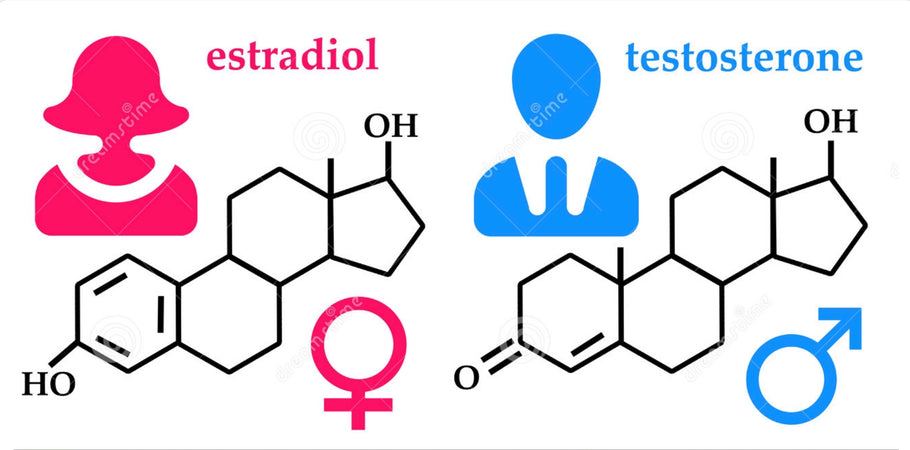 HORMONE DISRUPTORS—REDUCING YOUR EXPOSURE